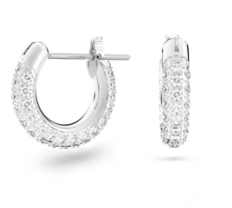 Dextera Large Earrings